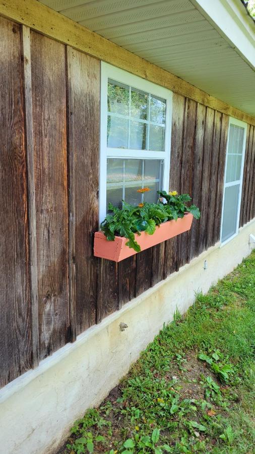 The Little House At Evoo Villa Cookeville Ngoại thất bức ảnh